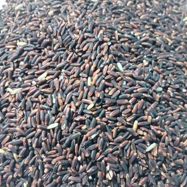 দিনাজপুরের খাঁটি ব্ল্যাক রাইস - Image 3